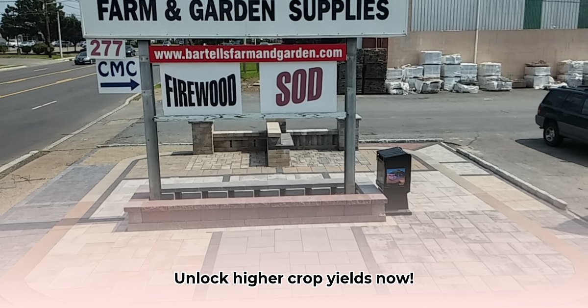 pavers-tractor-supply